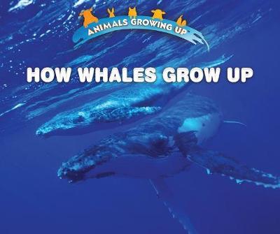 Book cover for How Whales Grow Up