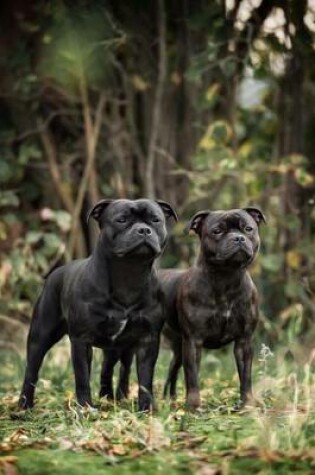 Cover of Two Black Staffordshire Bull Terrier Dogs Journal