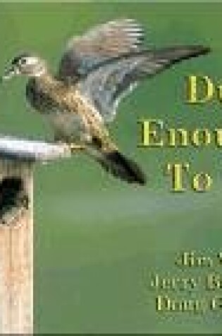 Cover of Duck Enough to Fly