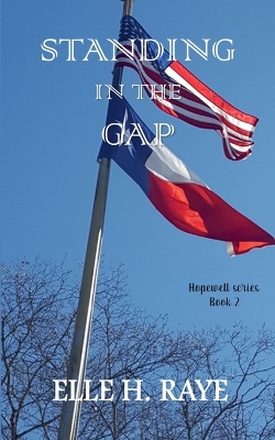 Cover of Standing in the Gap