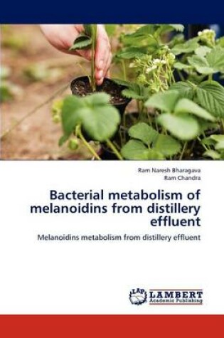 Cover of Bacterial metabolism of melanoidins from distillery effluent