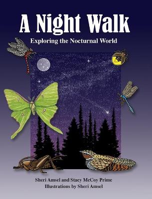 Cover of A Night Walk