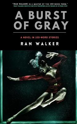 Book cover for A Burst of Gray