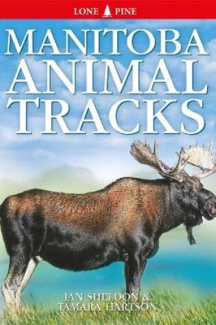 Cover of Manitoba Animal Tracks