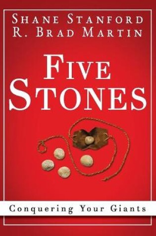 Cover of Five Stones 34376