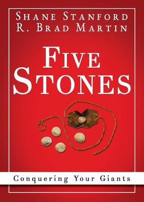 Book cover for Five Stones 34376