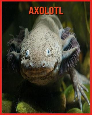 Book cover for Axolotl