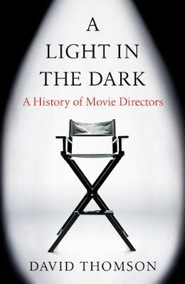 Book cover for A Light in the Dark