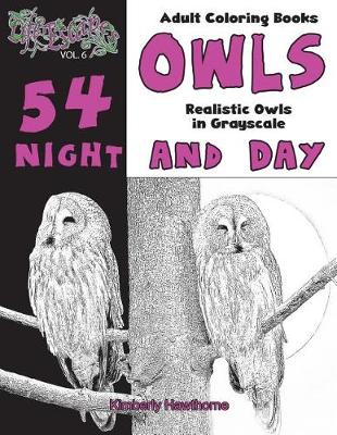 Book cover for Adult Coloring Books Owls Night and Day Backgrounds