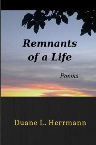 Cover of Remnants of a Life