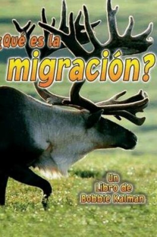 Cover of Que es La Migracion?