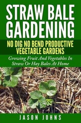 Cover of Straw Bale Gardening - No Dig No Bend Productive Vegetable Gardens