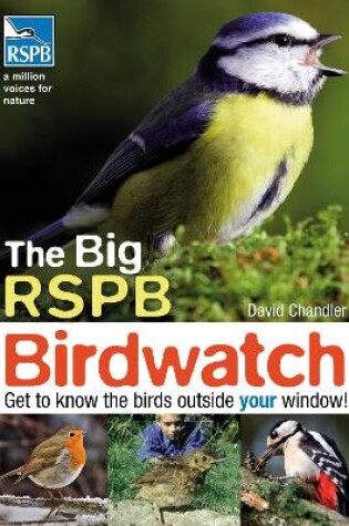 Cover of The Big RSPB Birdwatch