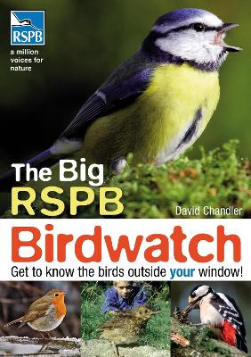 Book cover for The Big RSPB Birdwatch