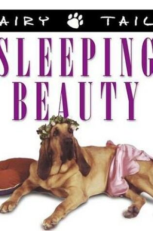 Cover of Fairytails Sleeping Beauty