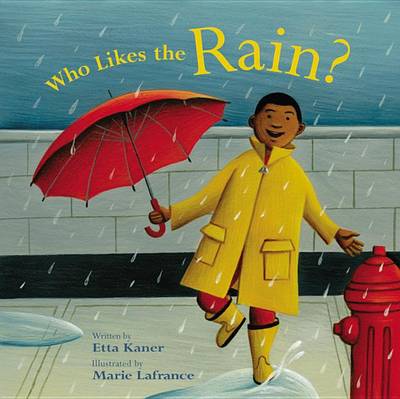 Book cover for Who Likes the Rain?