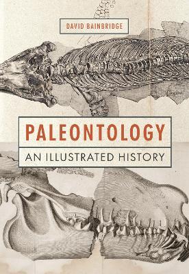 Book cover for Paleontology