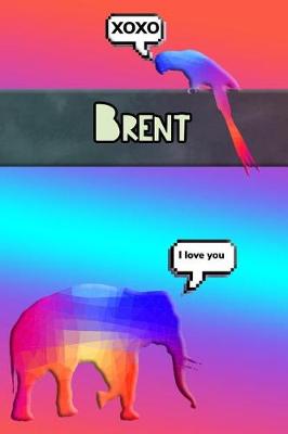 Book cover for Colorful Jungle Brent