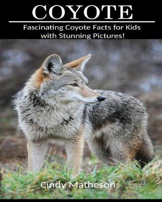 Book cover for Coyote