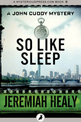 Cover of So Like Sleep