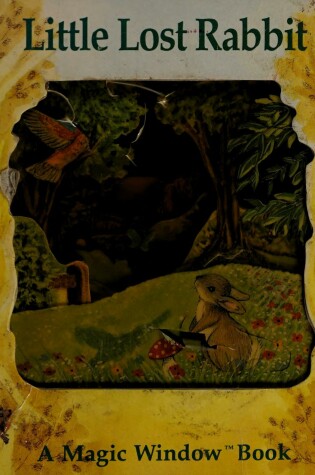 Cover of Little Lost Rabbit