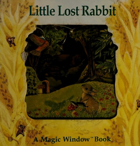 Book cover for Little Lost Rabbit