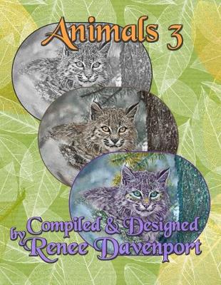 Book cover for Animals 3