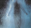 Book cover for Bill Viola