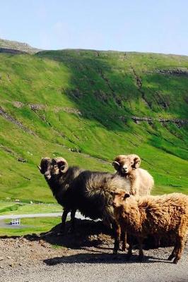 Book cover for Sheep on the Faroe Islands Journal