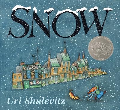 Book cover for Snow