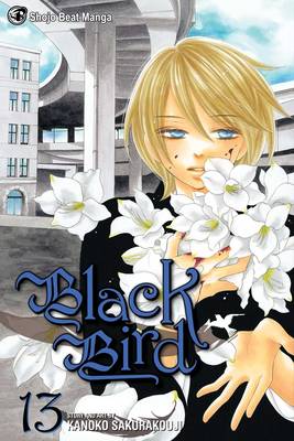 Book cover for Black Bird, Vol. 13