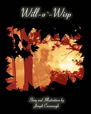 Book cover for Will-o'-Wisp