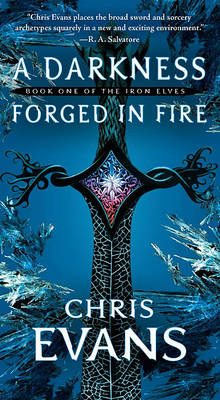 Book cover for A Darkness Forged in Fire