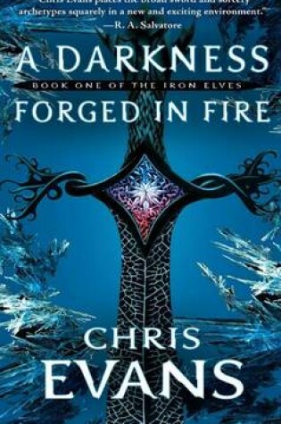 Cover of A Darkness Forged in Fire