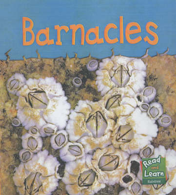 Book cover for Read and Learn: Sea Life - Barnacles