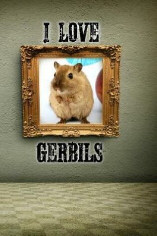 Cover of I Love Gerbils