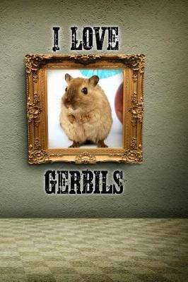 Book cover for I Love Gerbils