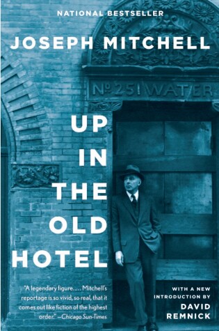 Cover of Up in the Old Hotel