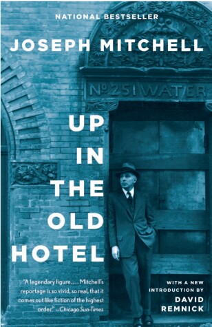 Book cover for Up in the Old Hotel