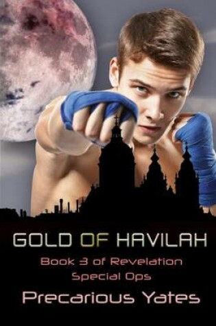 Cover of Gold of Havilah