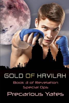 Book cover for Gold of Havilah