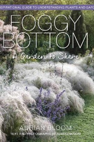 Cover of Foggy Bottom