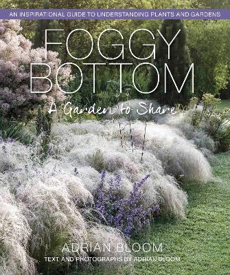 Book cover for Foggy Bottom