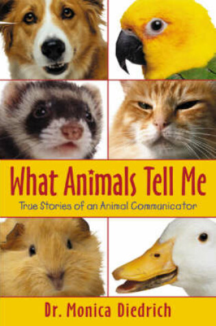Cover of What Animals Tell Me