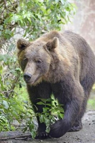 Cover of Brown Bear Out for a Walk Journal