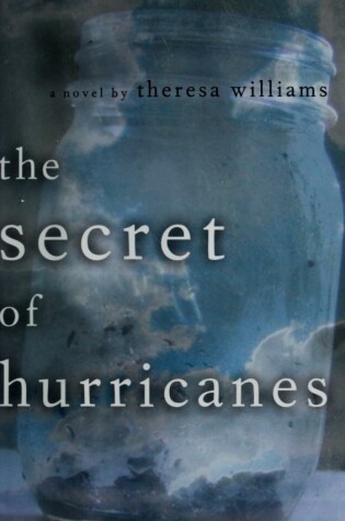 Cover of The Secret of Hurricanes