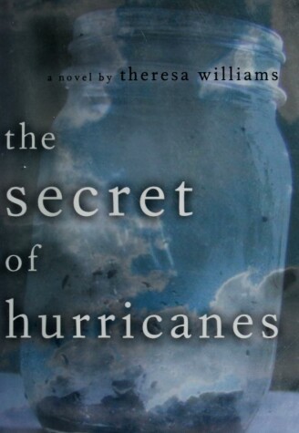 Book cover for The Secret of Hurricanes