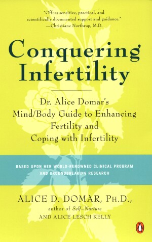 Book cover for Conquering Infertility