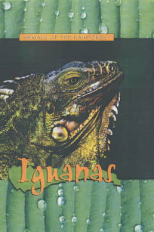 Cover of Animals of the Rainforest: Iguanas