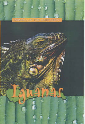 Book cover for Animals of the Rainforest: Iguanas